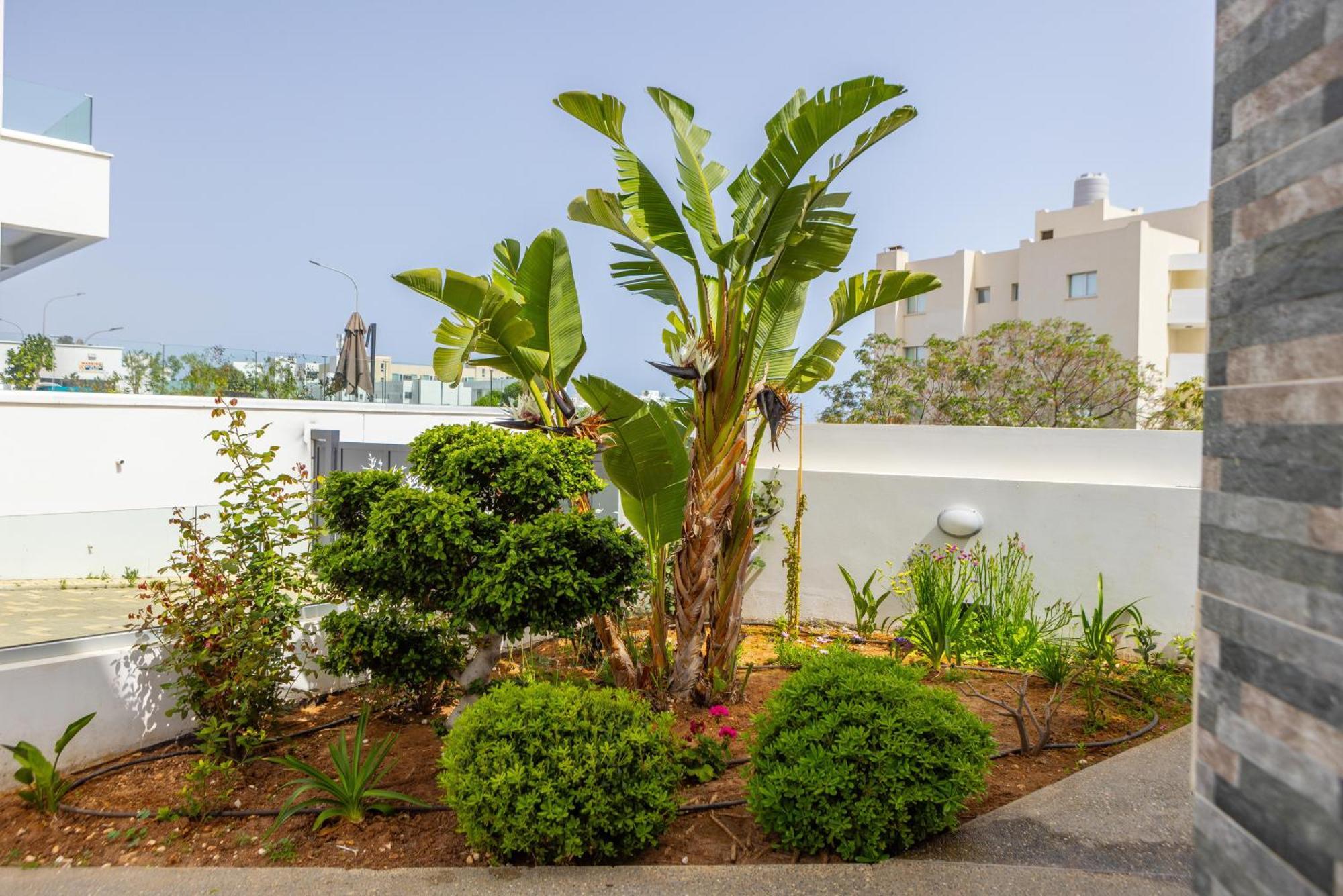 Fig Tree Bay Residences 5 Protaras Esterno foto